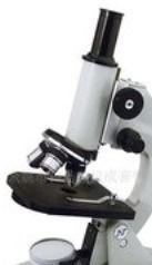 顯微鏡 生命科學(xué)研究的“慧眼”